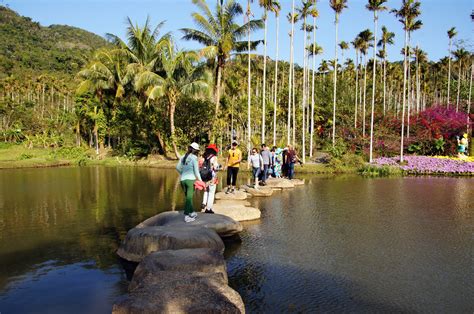  ¿Te atreves a explorar la majestuosidad y misterio del Parque Yanoda en Sanya?